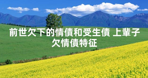 前世欠下的情債和受生債 上輩子欠情債特征